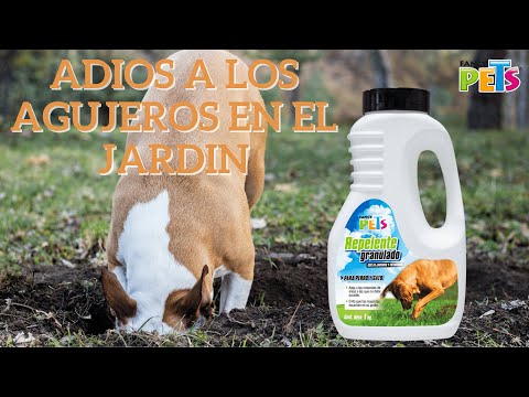 Video: Prevención de bricolaje para masticar perros y escapar de su jardín