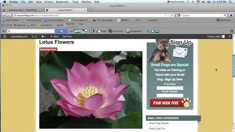 How to Construct a Featured Slideshow in WordPress : WordPress Guide