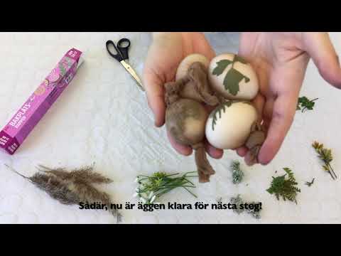 Video: Varför Måla ägg