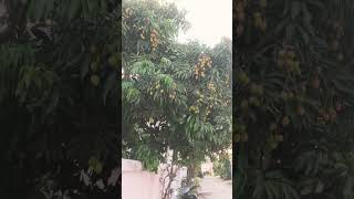 doston live class comment karna padega support karna video set karna 😋😋👍♥️🤣