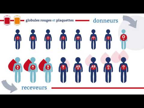 Vidéo: Compatibilité Des Groupes Sanguins Pour Le Mariage