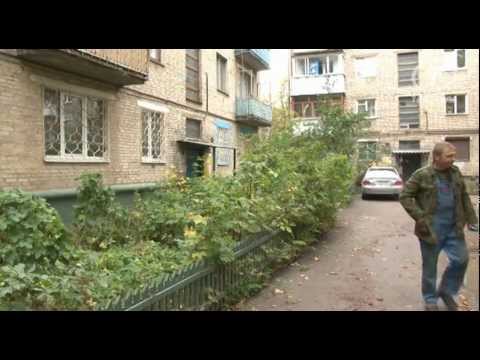 Рейтинг управляющих компаний. Ук новый город. Рейтинг управляющей компании. Новая управляющая компания. Новая управляющая компания тула.