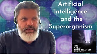 Daniel Schmachtenberger: 'Artificial Intelligence and The Superorganism' | The Great Simplification