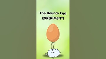 The Bouncy Egg Experiment! #scienceexperiment
