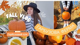 :  /Fall vlog/   / 