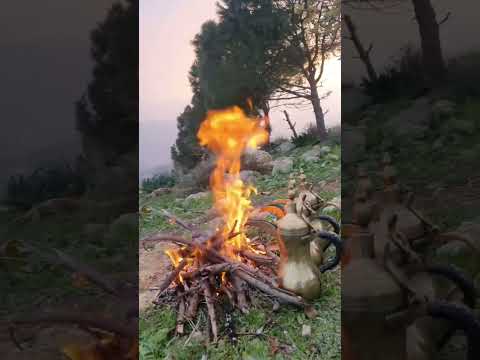 عبدالله الدنيا تردت من العام    اكسبلور جزل القصيد تصويري شعر شعر فصيح