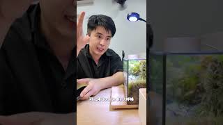家里插头都改成smart plug ！实现远程自动开关