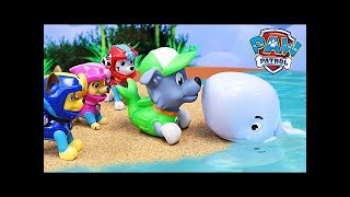 Paw Patrol Merpups and Sea Patrol Rescue Beached Giant Whale