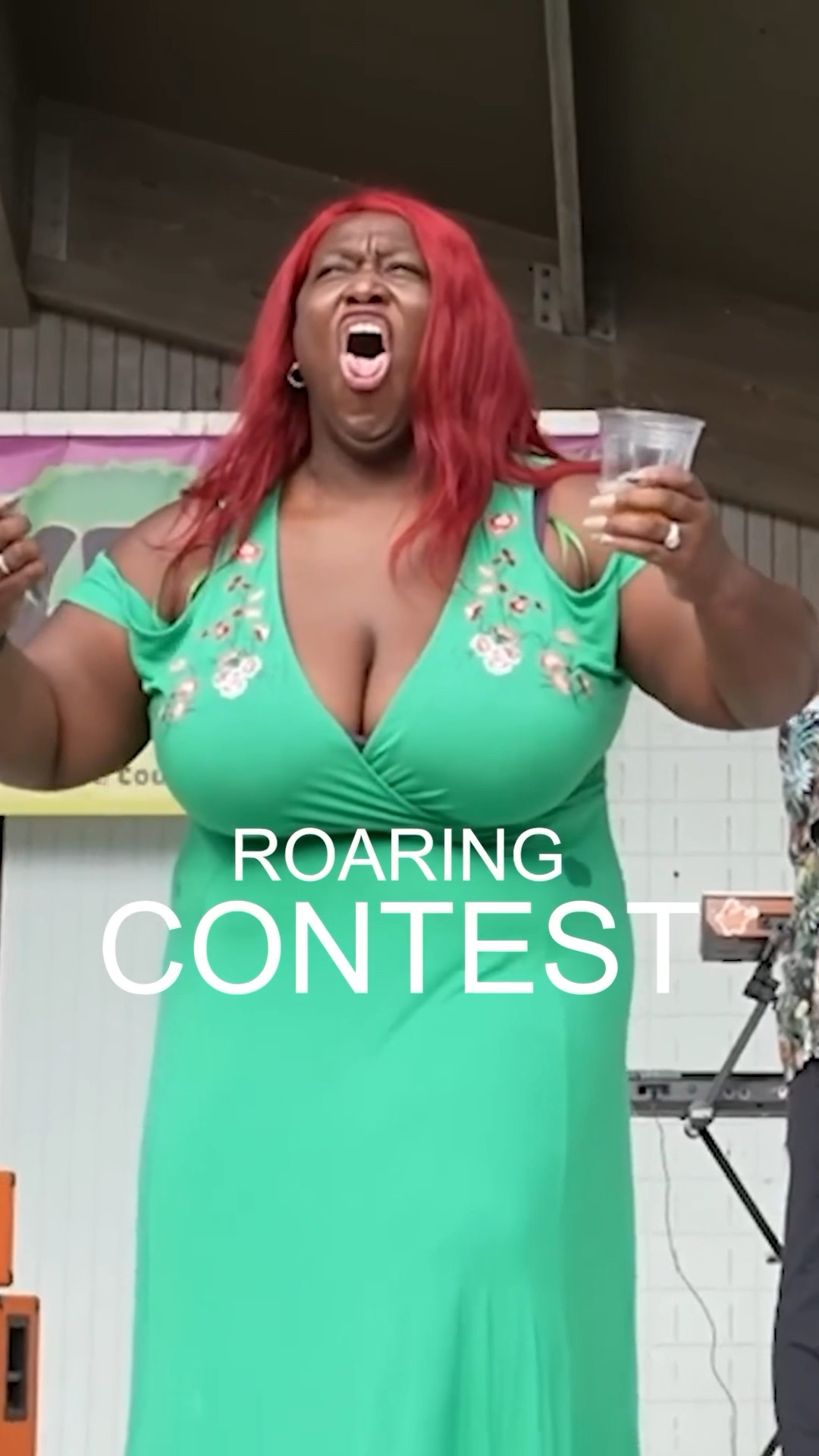 I went to a Shrek festival
