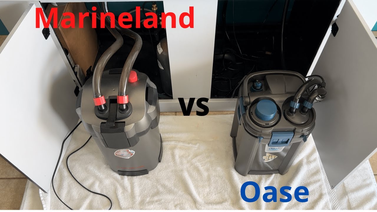 Canister filter Comparison Oase Bio Master 350 vs Marineland Magnaflow 360 YouTube