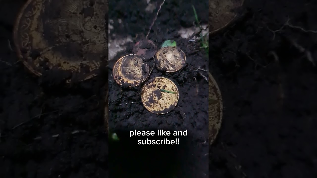 pocket spill leads to coffee $$! metal detecting NZ