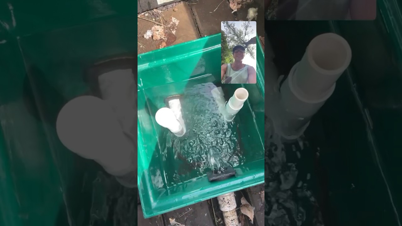 Do you Filter Your Spring Water? 