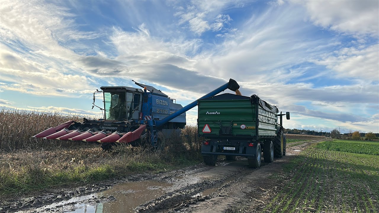 ŻNIWA KUKURYDZIANE 2025 Plon jest dla mnie dużym zaskoczeniem!
