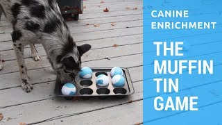 Canine Enrichment: Muffin Tin Game screenshot 5