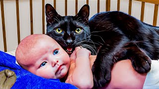 Cat Doesn't Let Baby Sleep Alone, Parents Call the Police When They Find Out the Reason... by Pets Rescue 577 views 7 months ago 8 minutes, 48 seconds