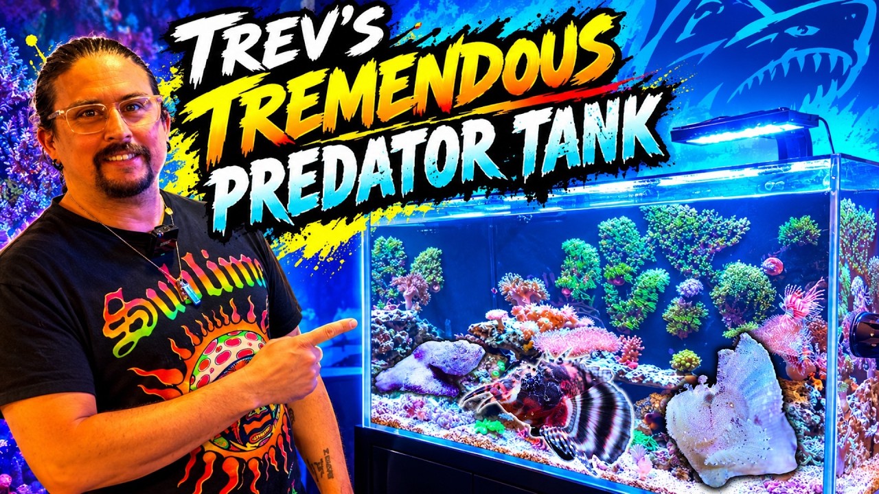Trev's Tremendous Predator Tank!