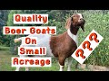 Can You Raise 40+ Quality Boer Goats On Less Then 3 Acres