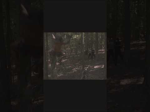KORAK Parkour!