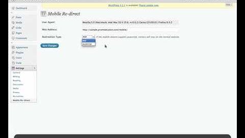 Wordpress Mobile Redirection Plugin