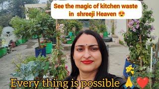 Download Lagu See the magic of kitchen waste in Shreeji heaven 😍/everything is possible 🙏#gardening #viralvideos  MP3