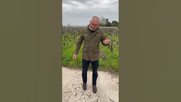 CHATEAU PALMER WINEMAKER THOMAS DUROUX ON HIS 2020 BORDEAUX