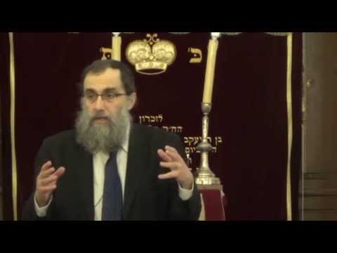 Cours du Rav Elie Lemmel  "Tazria ou la médisance "