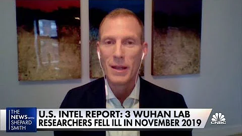 Atlantic Council fellow: Likely Covid-19 came from Wuhan lab - DayDayNews