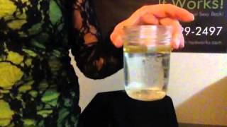 Advanced Formula Fat Fighters Demo