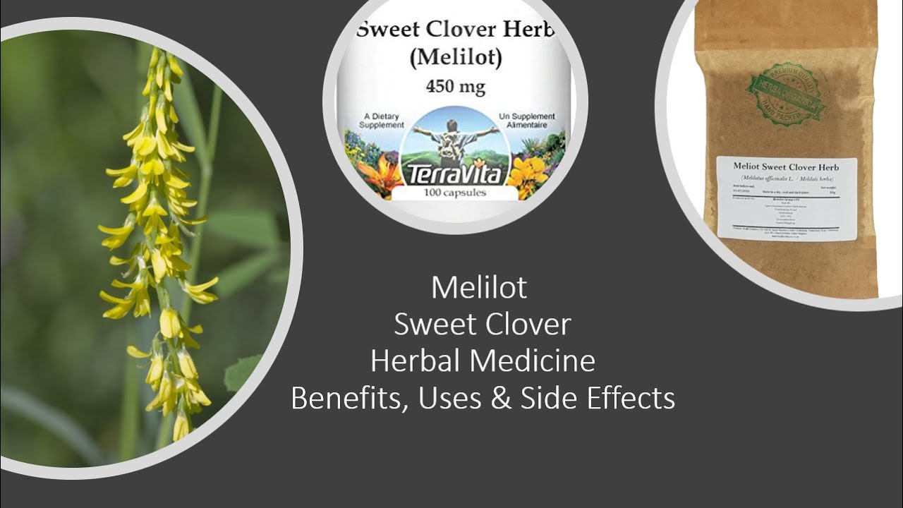 Melilot - Sweet Clover  - Herbal Medicine - Benefits, Uses & Side Effects
