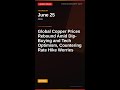 Global Copper Prices Rebound Amid Dip-Buying and Tech Optimism, Countering Rate Hike Worries | Ju...