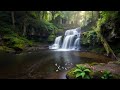 Relaxing music | Stress & anxiety relief