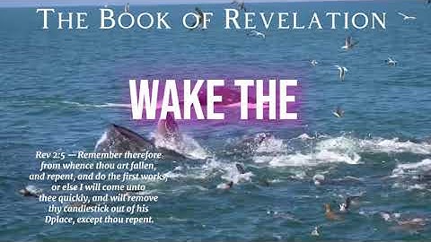 Revelation 2:5 — Prophetic Warning to Ephesus 🔥 #propheticword #revelation #biblestudy #jesuschrist 