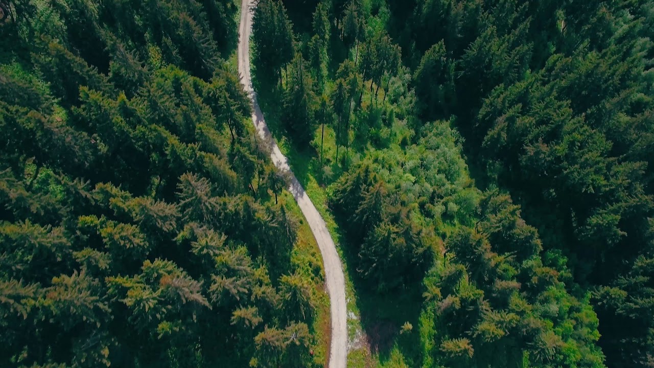 After quarantine, where do you want to travel? YouTube