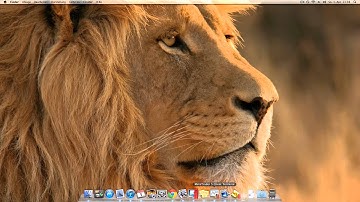 MetaTrader 5 mit Parallels Desktop auf Mac OS X Lion