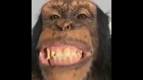 зубы обезьяны :P