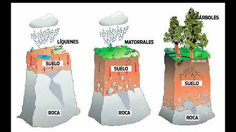 ¿Cómo se llama el subsuelo?