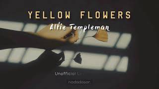 ALFIE TEMPLEMAN - YELLOW FLOWERS (LYRICS)