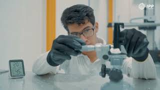 IPP Corporate Video