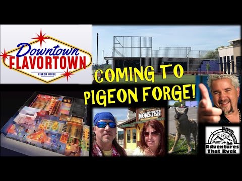 FLAVORTOWN PIGEON FORGE