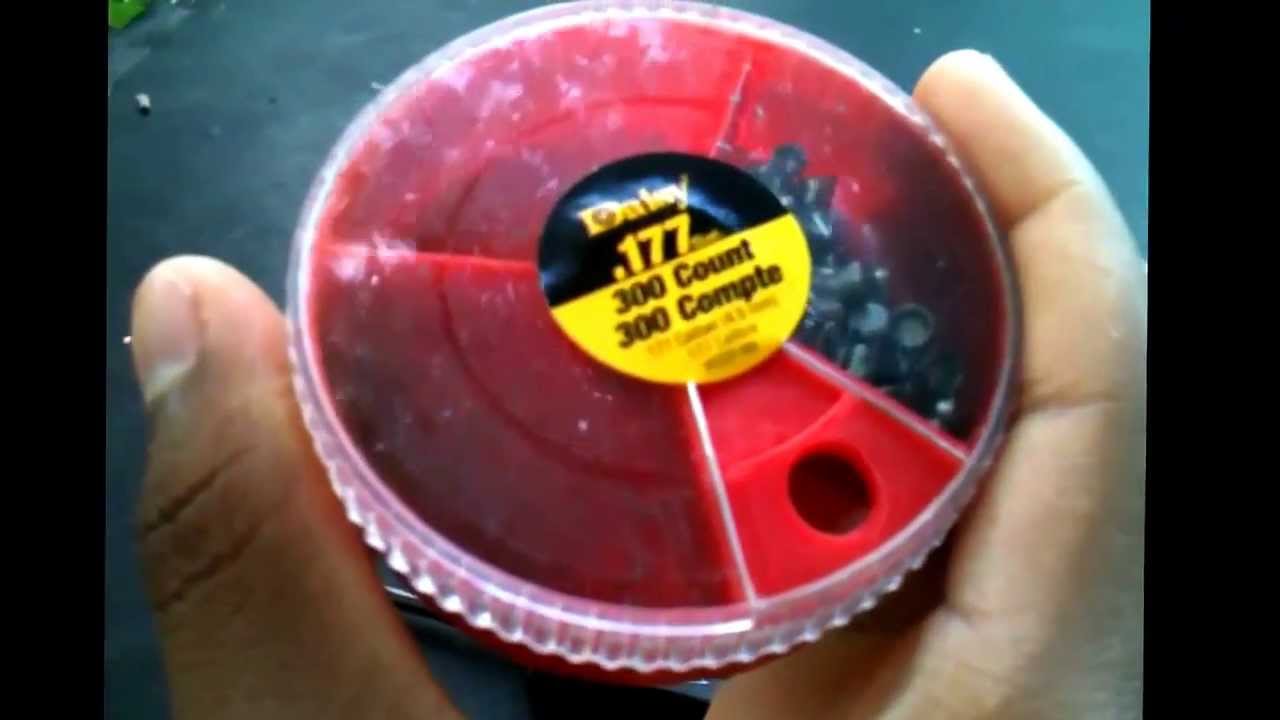 Daisy Powerline 880 Squirrel Kill Youtube