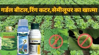 सयबन म Girdlebeetle,Ringcutter,Semilooper क लए बसट कटनसकTriazophos, Bayer Solomon, Alika