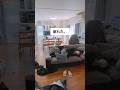 もう無理…優しいお母さんになれない。 #shorts #short #shortvideo