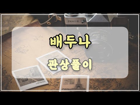 관상과학 배두나 관상 「코가 큰 사람의 특징은?」
