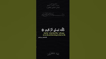 الذي خلقني فهو يهدين#تلاوة_خاشعة #quran #قرآن #holyquran #اكسبلور #religioustext #دعاء