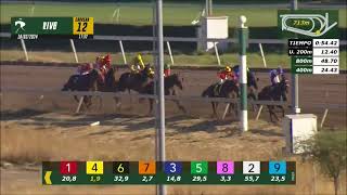 Vidéo de la course PMU PRIX JIM MORRISON