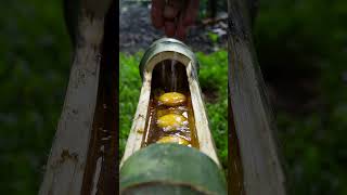 Omelette Cooked Inside Bamboo 🎋🍳🔥 | Amazing Outdoor Cooking #shorts