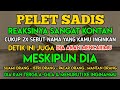 ق ال ي و س ف ل ا ب ي ه ي ا ب ت ا ن ي ر ا ي ت ا ح د ع ش ر ك و ك ب ا و الش م س ق ال ي و س ف ل ا ب ي ه ي ا ب ت ا ن ي ر ا ي ت ا ح د ع ش ر ك و ك ب ا و الش م س