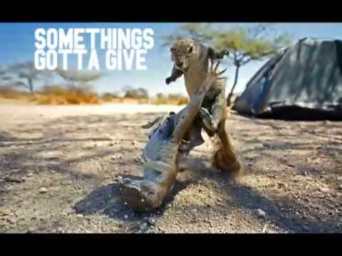 Shawn Elliot - Somethings Gotta Give ft. Naela & D...