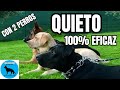 ¡QUIETO! 100% eficaz - Enseña a tu perro a quedarse quieto