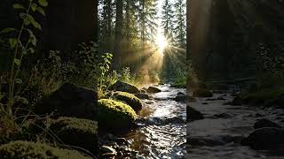 Watch the Silence🥰 – Nature Relaxation Music Calm Landscapes The Healing Power of Nature #calm music